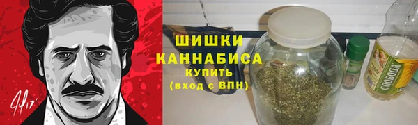 стаф Няндома