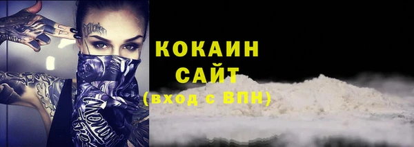 стаф Няндома
