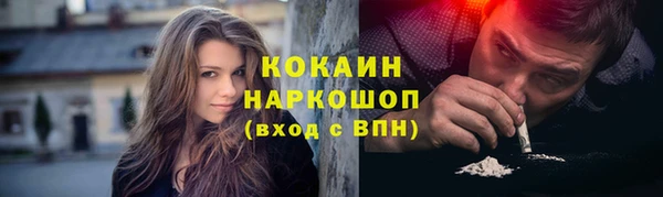 стаф Няндома