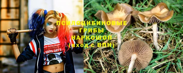 стаф Няндома